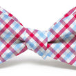 Load image into Gallery viewer, Gameday: Bow Tie - Light Blue/Red