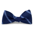 Load image into Gallery viewer, Stowe: Bow Tie - Navy/Blue