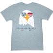 Load image into Gallery viewer, Bald Eagle: Short Sleeve T-Shirt - Gray