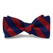 Load image into Gallery viewer, Dulles: Bow Tie - Red/Navy