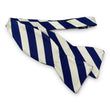 Load image into Gallery viewer, Chester: Bow Tie - Royal Blue/White