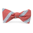 Load image into Gallery viewer, Exmore: Bow Tie - Coral/Light Blue