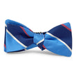 Load image into Gallery viewer, Clifton: Bow Tie - Aqua