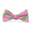 Load image into Gallery viewer, Franklin: Bow Tie - Pink/Lime