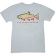 Load image into Gallery viewer, Brook Trout: Short Sleeve T-Shirt - Gray