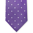 Load image into Gallery viewer, Spot On: Tie - Violet