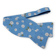 Load image into Gallery viewer, Corolla: Carolina Cotton Bow