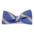 Load image into Gallery viewer, Catalina: Bow - Blue