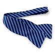 Load image into Gallery viewer, Kiawah: Bow - Light Blue/Navy