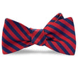Load image into Gallery viewer, Kiawah: Bow - Red/Navy