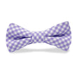 Load image into Gallery viewer, Barclay: Boy's Carolina Cotton Bow Tie