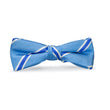Load image into Gallery viewer, James: Boys Bow Tie - Blue
