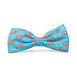 Load image into Gallery viewer, Old Glory: Boys Bow Tie - Carolina