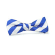 Load image into Gallery viewer, Newman: Boys Bow Tie - Royal/White