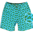 Load image into Gallery viewer, Turtle Tour: Swim Trunks - Turquoise