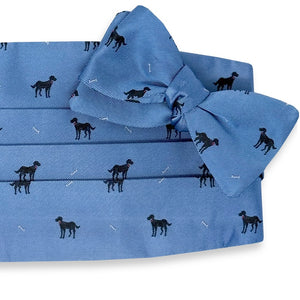 Black Lab: Cummerbund Set - Light Blue