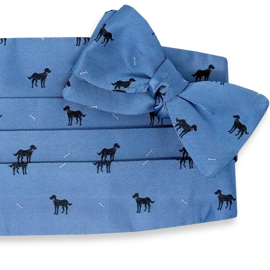 Black Lab: Cummerbund Set - Light Blue