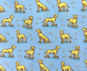 Doggone: Boxers - Light Blue