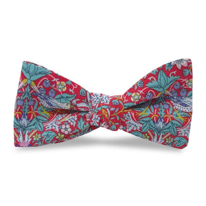 Strawberry Fields: Carolina Cotton Bow - Red