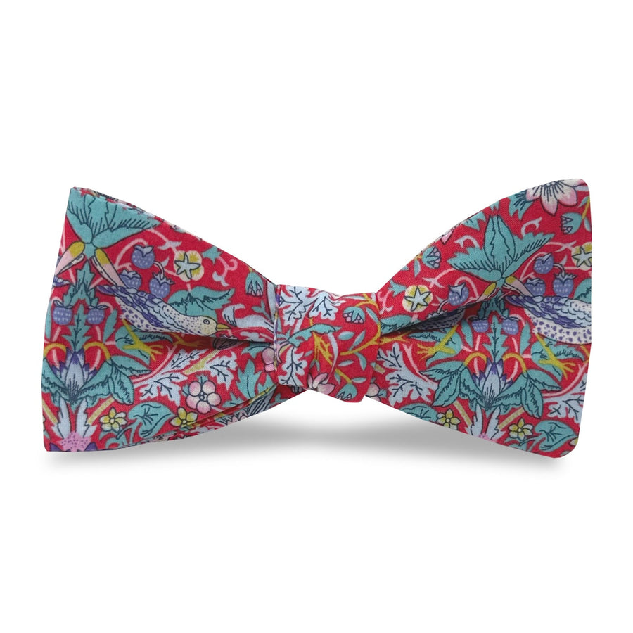 Strawberry Fields: Carolina Cotton Bow - Red