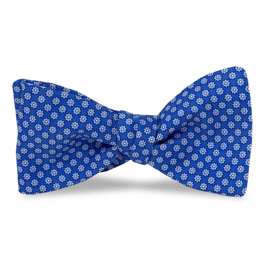 Wythe: Bow - Violet/Aqua