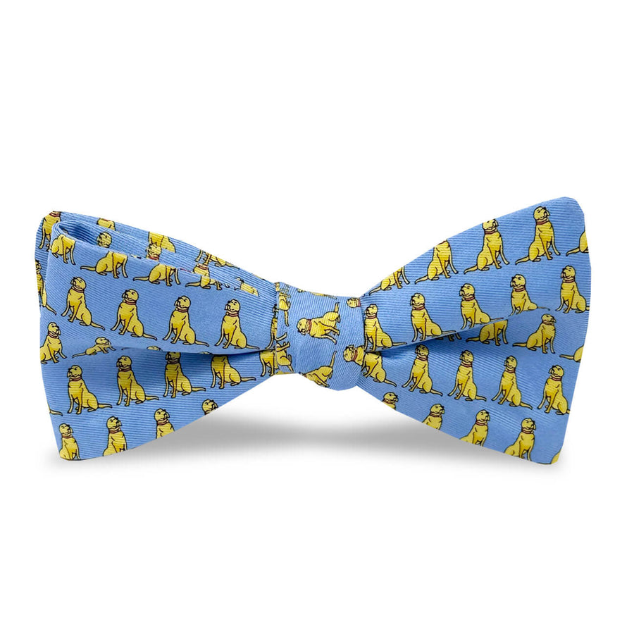 Sit, Stay: Bow - Blue/Yellow
