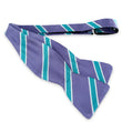 Load image into Gallery viewer, Armistead: Bow - Purple/Turquoise
