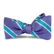 Load image into Gallery viewer, Armistead: Bow - Purple/Turquoise
