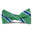 Load image into Gallery viewer, Armistead: Bow - Green/Blue
