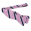 Load image into Gallery viewer, Armistead: Bow - Pink/Navy
