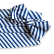 Load image into Gallery viewer, Creigh: Cummerbund Set - Blue/White
