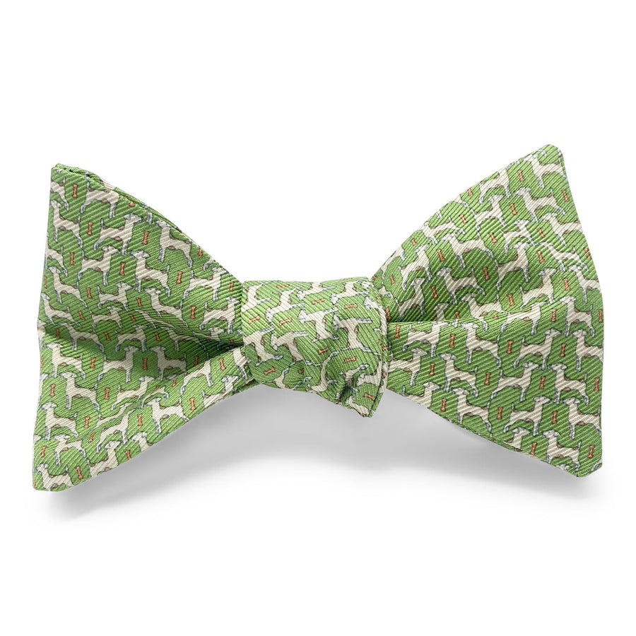 Jack Russell: Bow - Green