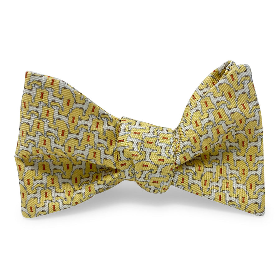 Jack Russell: Bow - Yellow