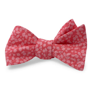 Liberty Derbyshire: Bow - Coral