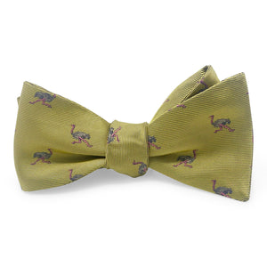 Ostrich: Bow - Yellow