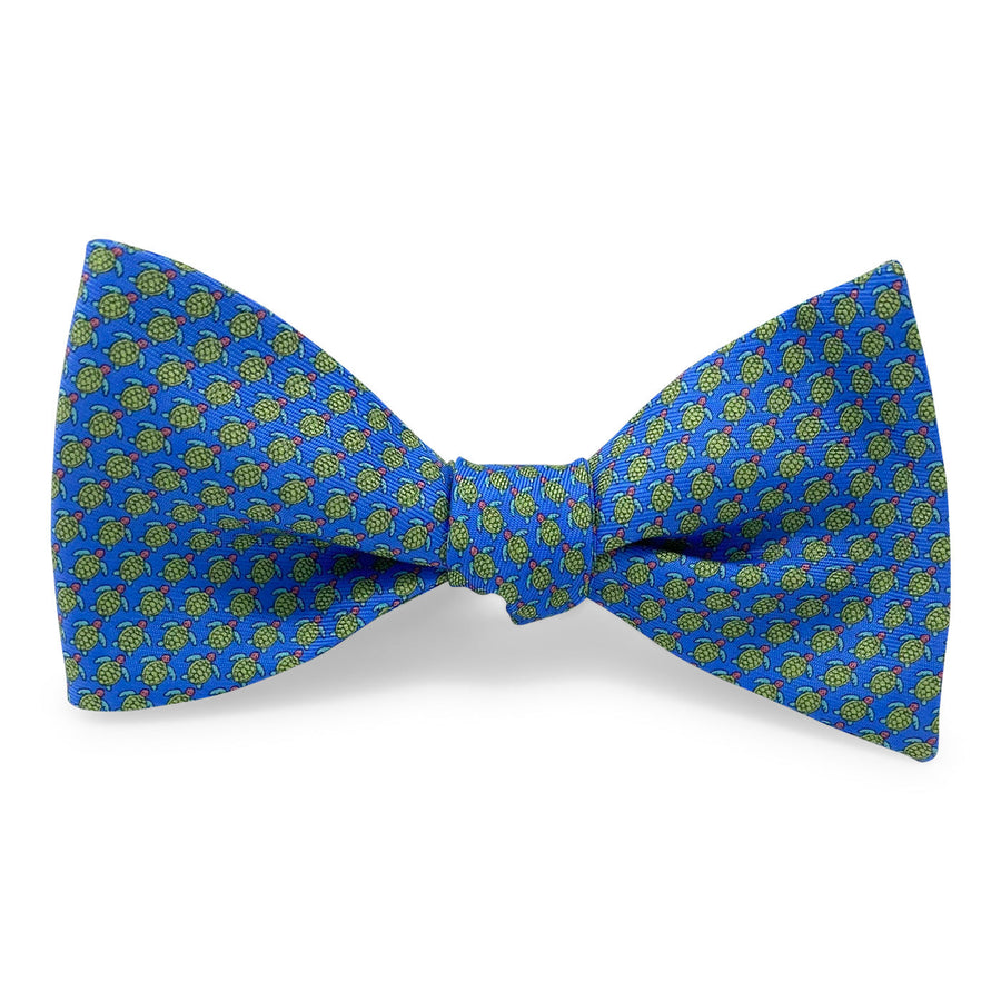 Tortuga: Bow - Blue