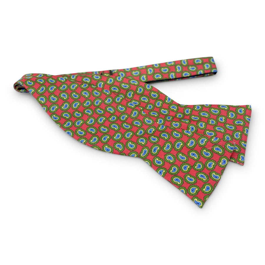 Craig: Bow - Coral