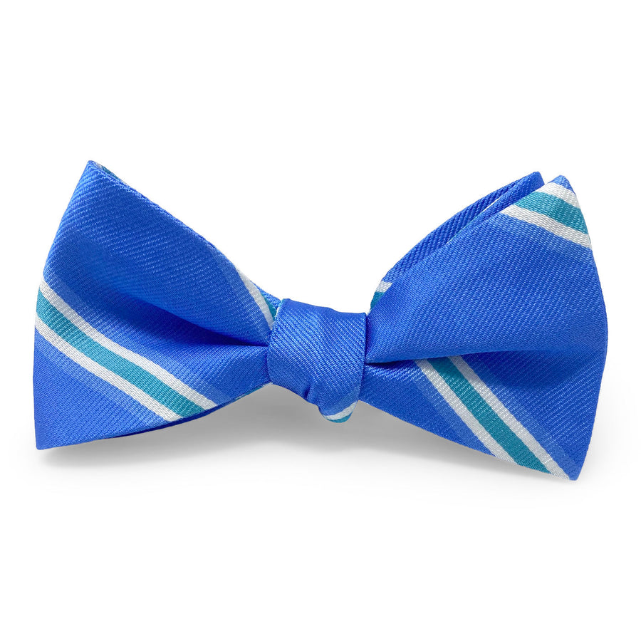 Cooper: Bow - Blue