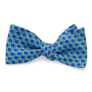 Printemps: Bow - Aqua