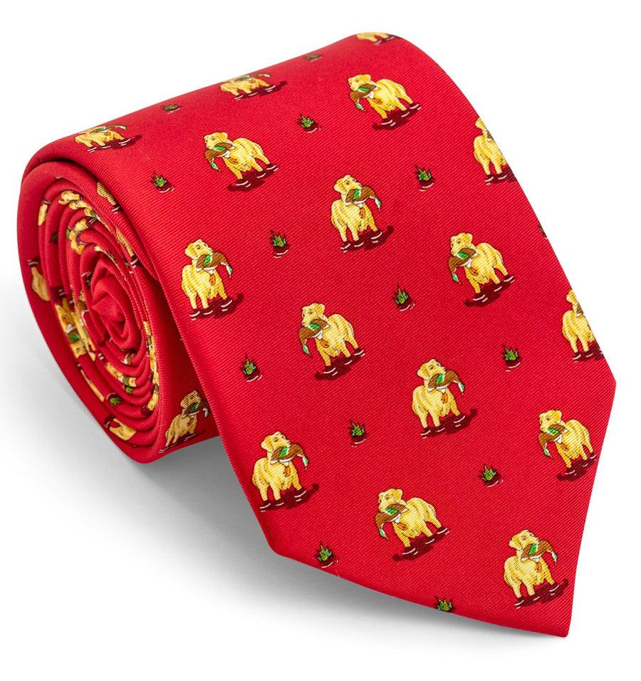 Duck Dogs: Tie - Red with Yellow