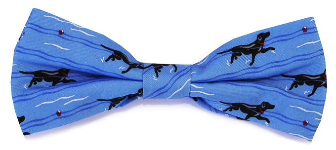 Doggy Paddle: Boys Bow Tie - Blue