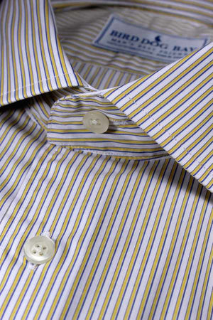 Chatham: Button Down Shirt Chatham: Button Down Shirt