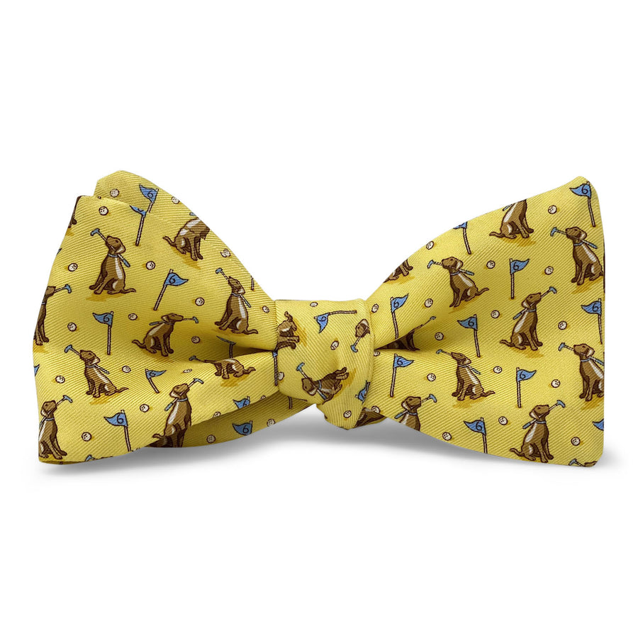 Dogleg on Six: Bow Tie - Yellow/Chocolate