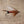 Load image into Gallery viewer, American Made Collared Greens Fly Fishing Lapel Pins Brown|Red Made in the USA
