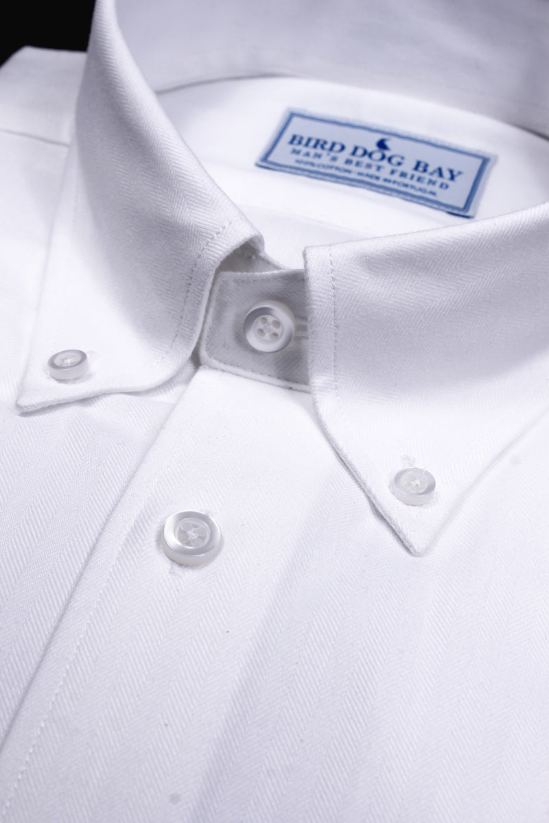 Kensington: Button Down Shirt - White