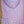Load image into Gallery viewer, Sutherland: Button Down Shirt - Plum
