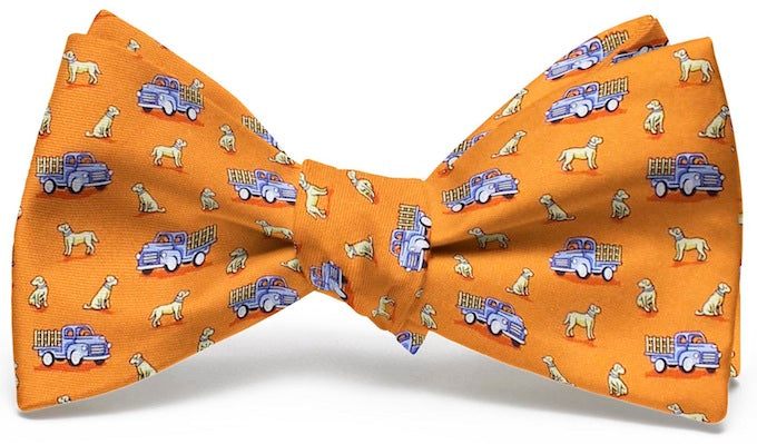 Dogs Love Trucks: Boys Bow Tie - Orange
