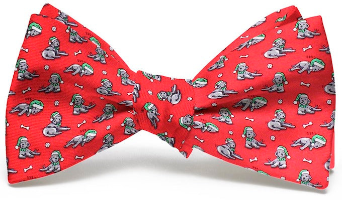 Santa Paws: Boys Bow Tie - Red