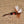 Load image into Gallery viewer, Royal Wulff: Lapel Pin

