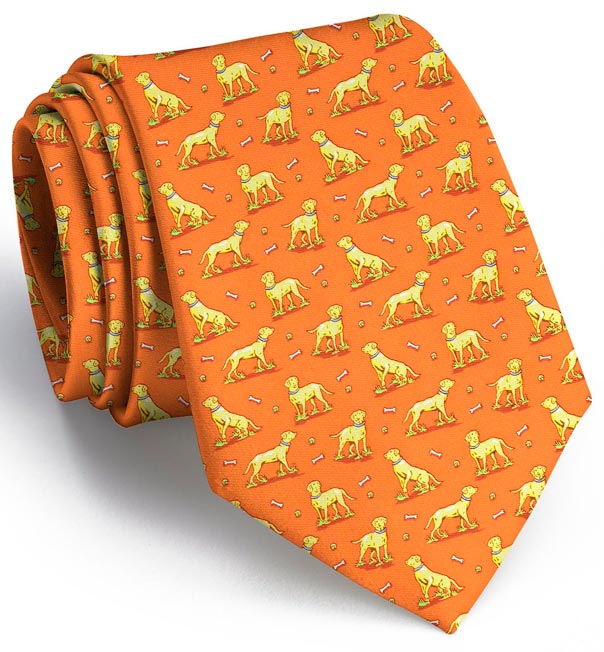 Lucky Labs: Boys Tie - Orange